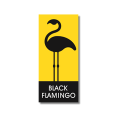 Collection image for: Издателство Black Flamingo