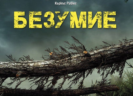 Безумие