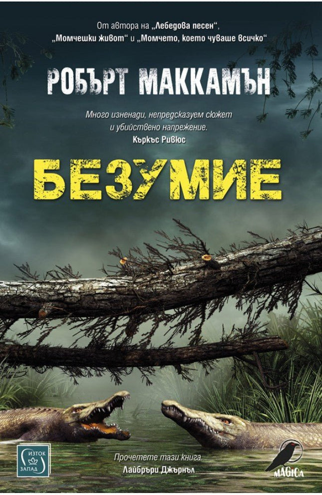 Безумие