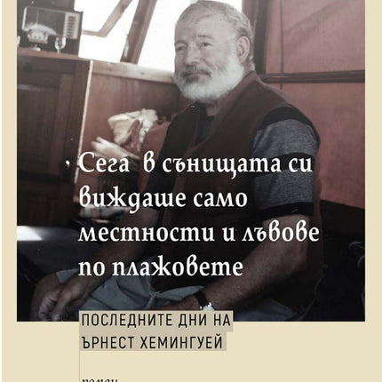 Сега в сънищата си виждаше само местности и лъвове по плажовете