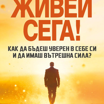 Предна корица на книгата Живей сега на Ерик Бертран Ларсен