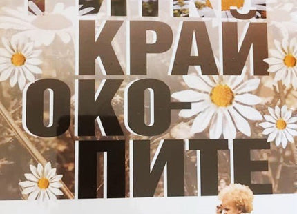 Маргаритки край окопите