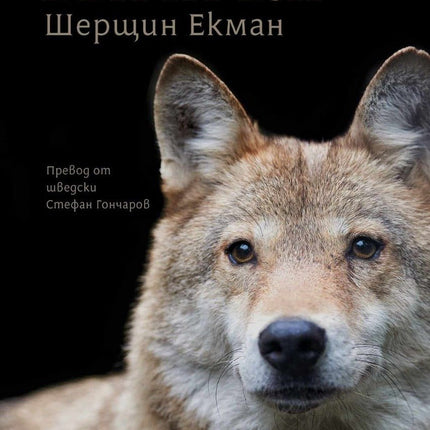 Вълчи бяг