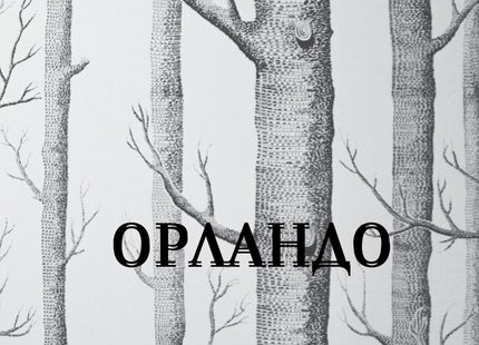 Орландо