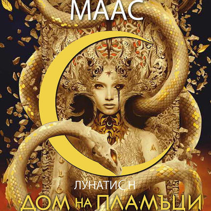 Дом на пламъци и сенки