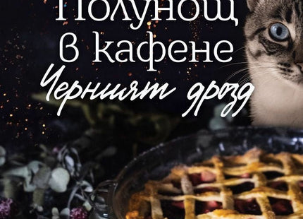 Полунощ в кафене Черният дрозд