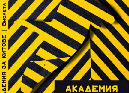 Под шапката на скитника - подреждане на уличните безпокойства