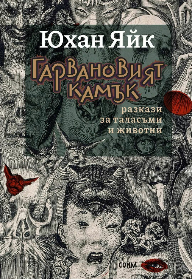 Предна корица на книгата Гарвановият камък - Разкази за таласъми и животни на Юхан Яйк