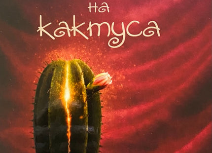 Предна корица на книгата Кадифето на кактуса на Юлия Дивизиева