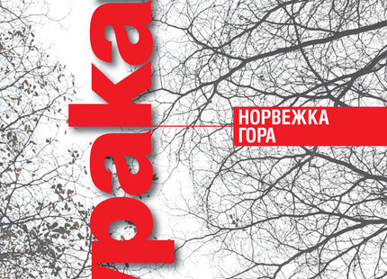 Предна корица на книгата Норвежка гора на Харуки Мураками