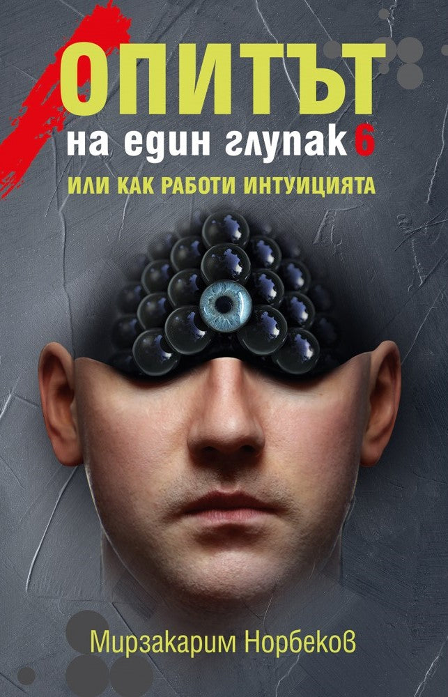 Предна корица на книгата Опитът на един глупак - книга 6 - Или как работи интуицията на Мирзакарим Норбеков