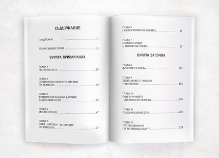 Корица на книгата 'Септемврийски дни' от Андро Лулчев
