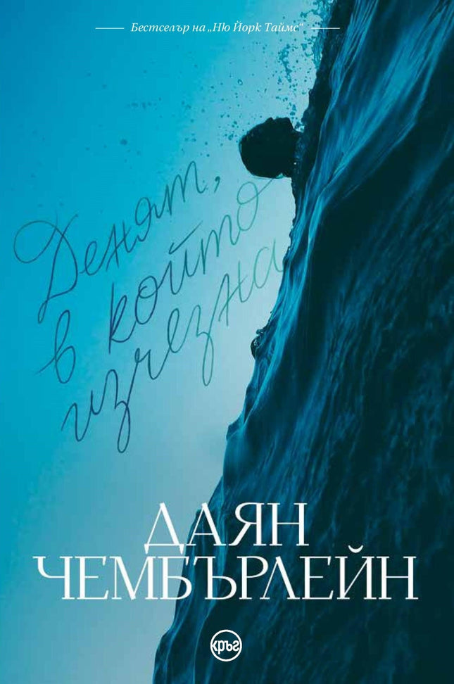 Корица на книгата 'Денят, в който изчезна' от Даян Чембърлейн