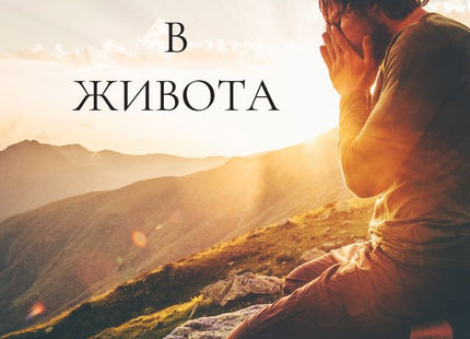 Предна корица на книгата Смисълът в живота на Мартин Ралчевски