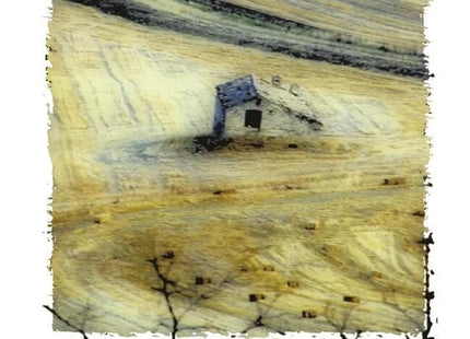 Предна корица на книгата Тристишия и фотограми на Цочо Бояджиев
