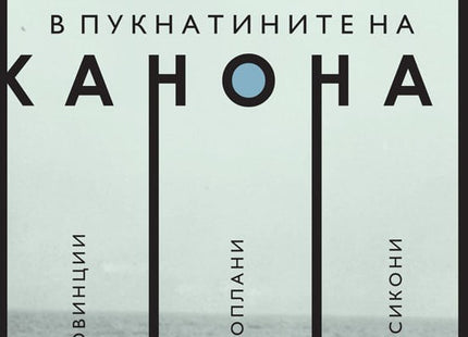 Предна корица на книгата В пукнатините на канона - Георги Господинов на Георги Господинов