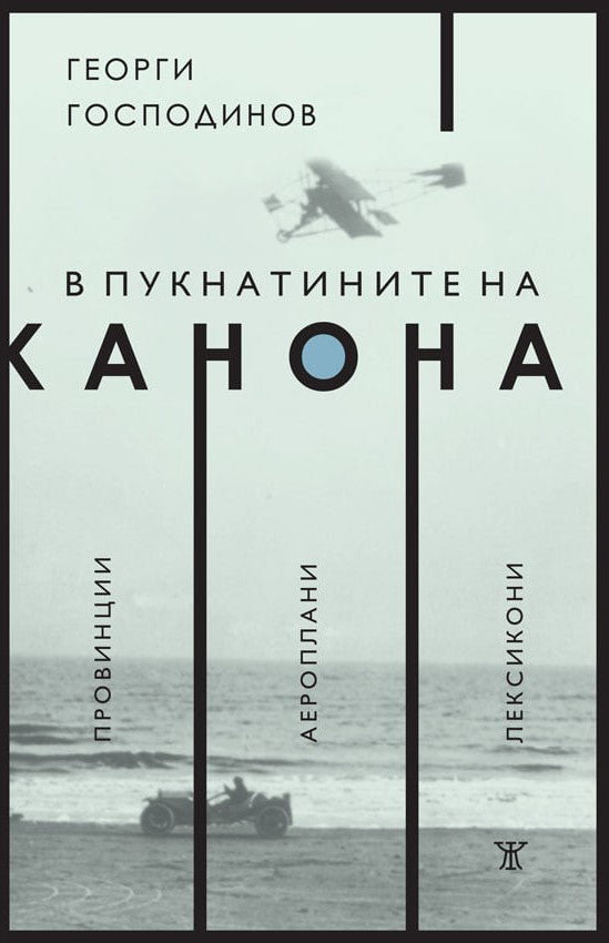 Предна корица на книгата В пукнатините на канона - Георги Господинов на Георги Господинов