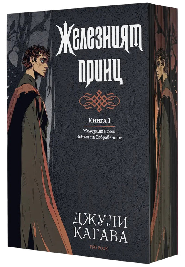 Предна корица на книгата Железният принц - книга 1 - Железните феи - Зовът на Забравените на Джули Кагава