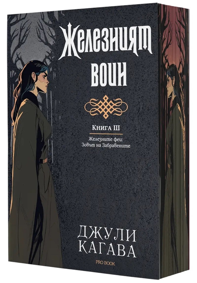 Предна корица на книгата Железният воин - книга 3 - Железните феи - Зовът на Забравените на Джули Кагава